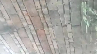 麻豆国产va免费精品高清在线">亚洲欧美在线一区