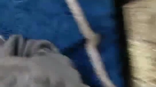 宇宙护送船可遇不可求