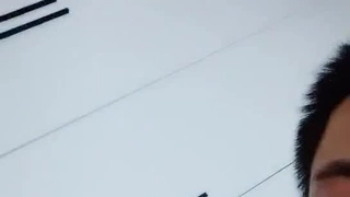 盖恩斯