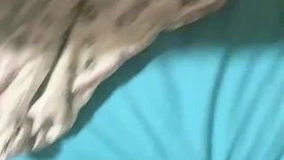爱的涩放我的婉约大屁股淫荡媳妇