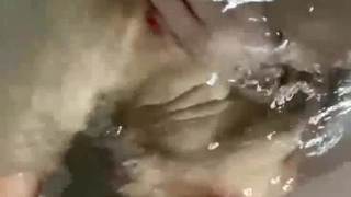 跟心理系硕士交换生魏X蕾在一起付出许多却被旅社老闆睡走，前男友一怒之下全部流出(部份)