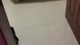 二零二三七月十六_泰乐爽_1